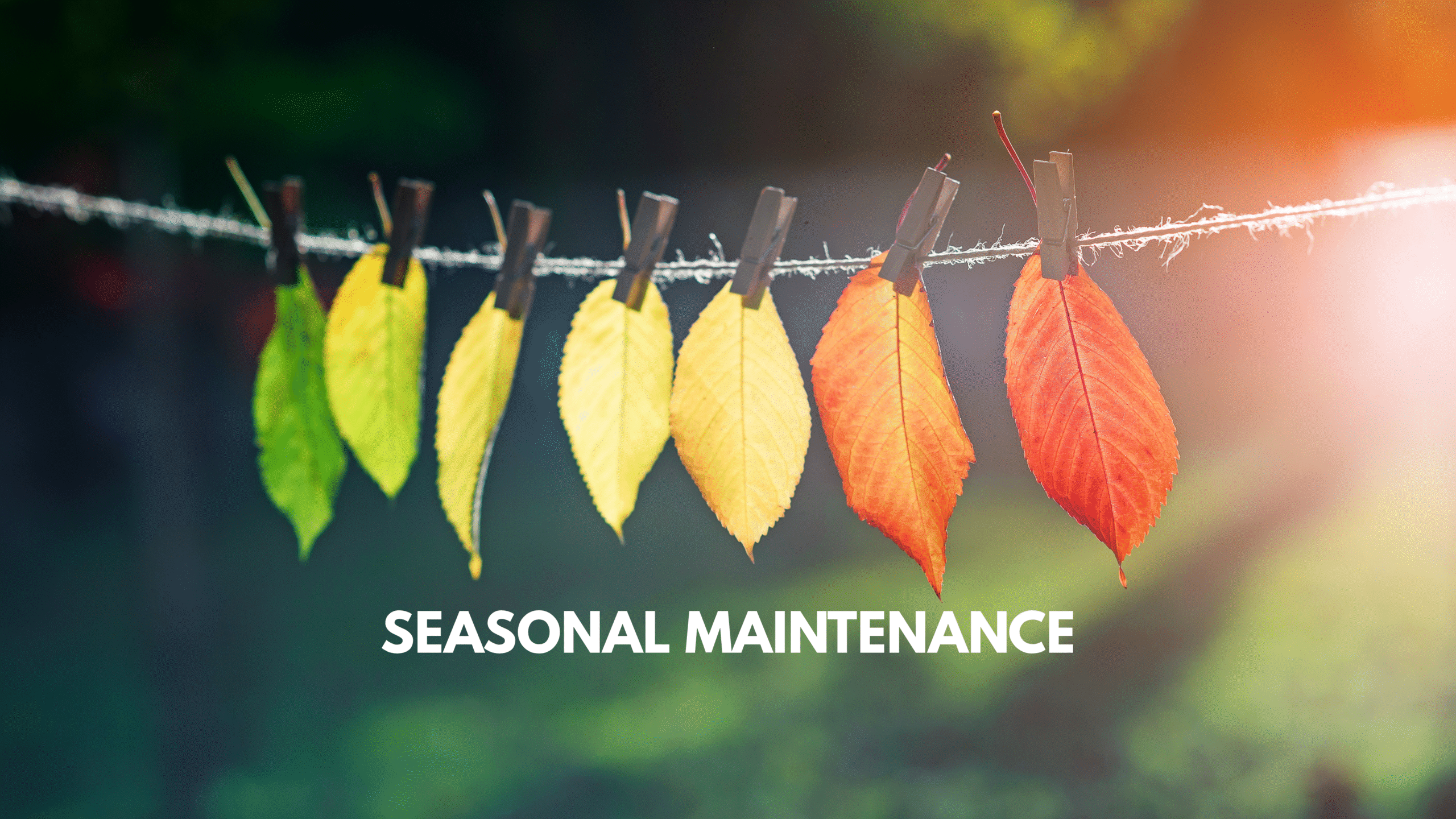 Seasonal Maintenance